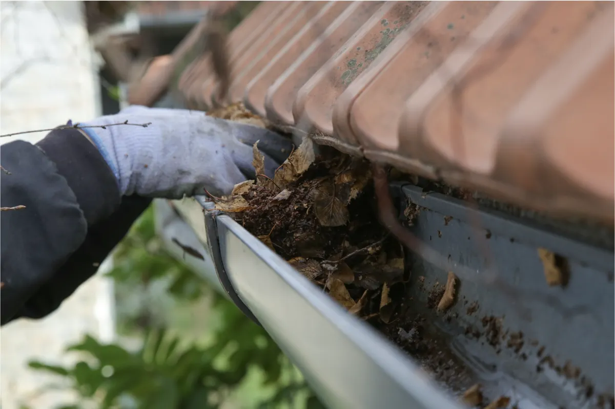 Professional gutter cleaning process
